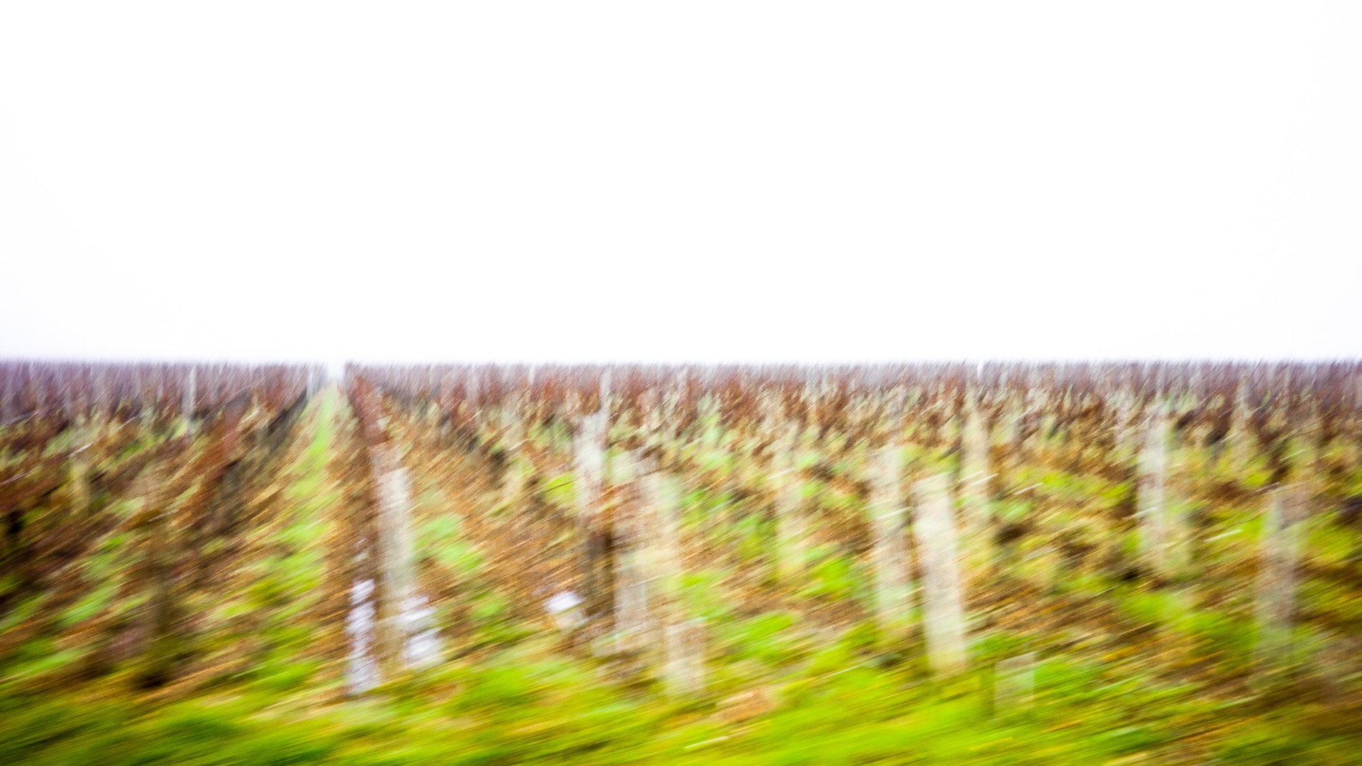 Saint-Emilion